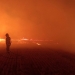 Incendiu puternic de vegetație uscată. FOTO ISU Delta Tulcea