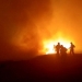 Incendiu puternic de vegetație uscată. FOTO ISU Delta Tulcea