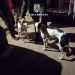 Ogari folosiți la partide ilegale de vânătoare. FOTO Poliția Română