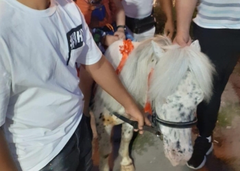 Ponei confiscat de Poliția Locală. FOTO Primăria Constanța