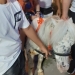Ponei confiscat de Poliția Locală. FOTO Primăria Constanța