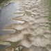 FOTO: EforieOnline