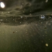 DCIM100GOPROGOPR0405.JPG