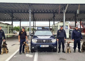 Foto cu rol ilustrativ