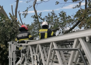 sursa foto: ISU Tulcea