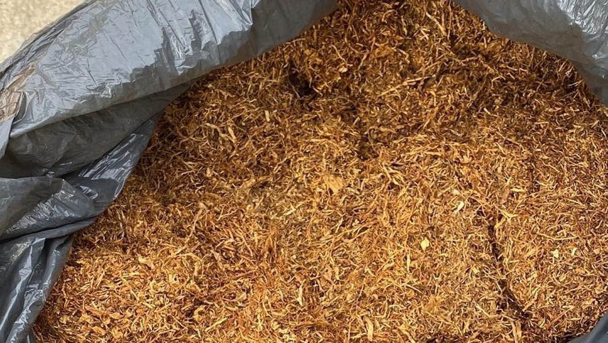 Sute de kilograme de tutun au fost depistate în urma perchezițiilor. FOTO IPJ Ialomița