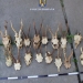 Trofee de vânătoare. FOTO Poliția Română