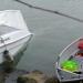 Accident naval pe Dunăre. FOTO ISU Delta Tulcea