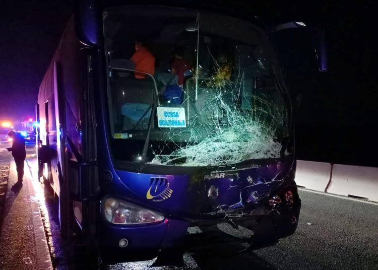 Autocarul în care se aflau copii a lovit în plin vaca. FOTO ISU Prahova