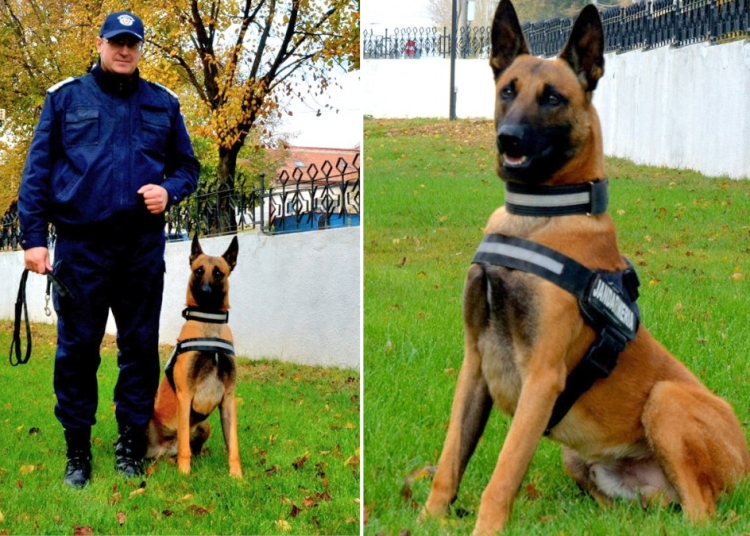 Igor și instructorul său. FOTO IJJ Tulcea