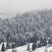 Vatra Dornei