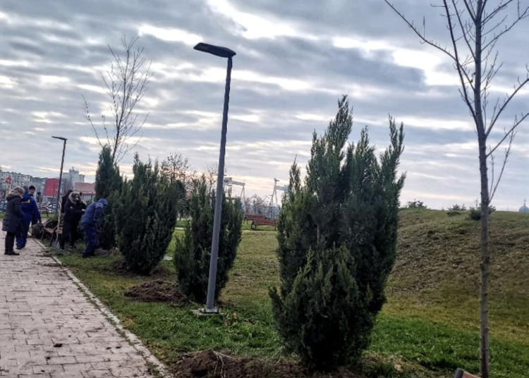 foto cu rol ilustrativ