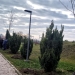 foto cu rol ilustrativ