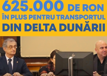 Michael Gudu, deputat PNL