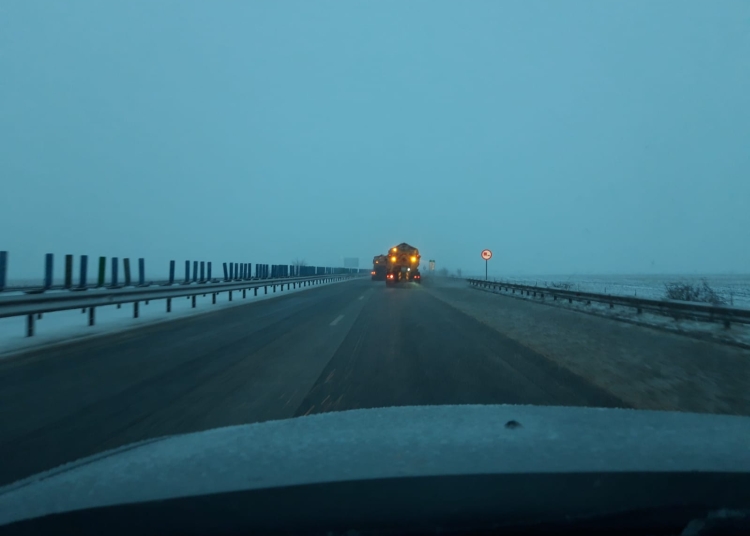sursa foto: DRDP Constanța