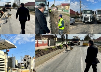 Mihai Lupu, în teren - Sursa foto: Facebook