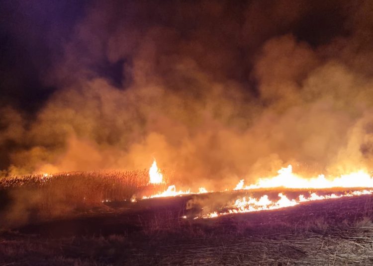 Incendiu vegetație uscată. FOTO: ISU Tulcea. Imagine cu rol ilustrativ