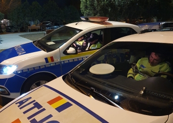 Un bărbat din Tulcea, anchetat pentru acte de violență asupra unei pisici