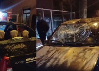 foto cu rol ilustrativ