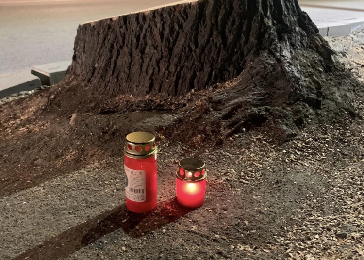 sursa foto: Facebook/ Asociația civică Tomis Așa Cum Trebuie - TACT