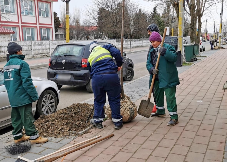 sursa foto: Primăria Constanța