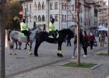 Tiberiu Cebotaru, sursa foto: ZDI