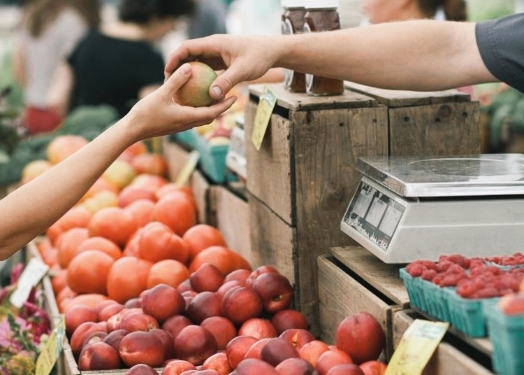 foto cu rol ilustrativ/  sursa foto: pixabay