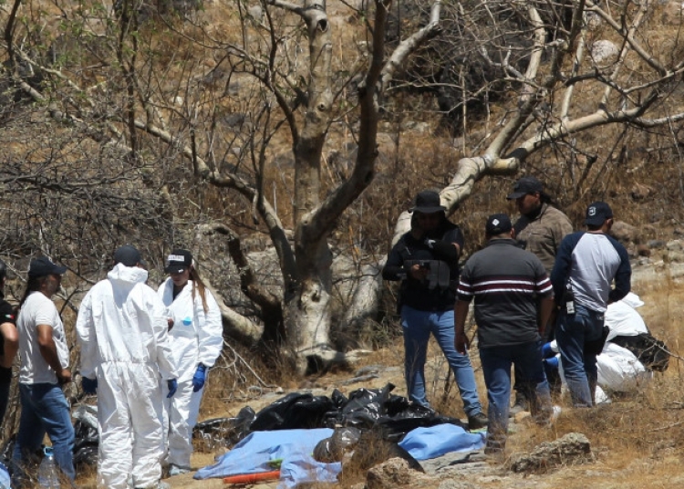 45 de saci cu resturi umane au fost găsiți într-o prăpastie din Mexic. FOTO: Profimedia Images