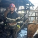 Pompierii au intervenit pentru stingerea incendiului. FOTO ISU Delta Tulcea
