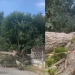 sursa foto: captură video