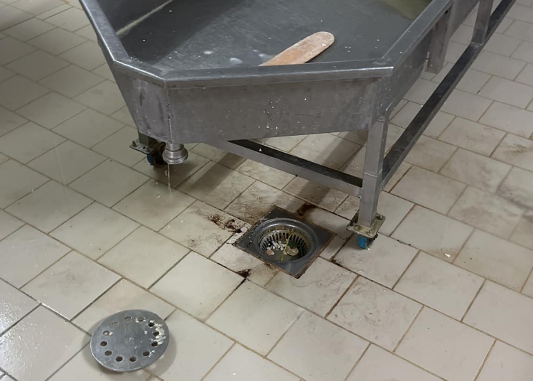 sursa foto: Garda de Mediu Constanța