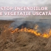 sursa foto: ISU Dobrogea