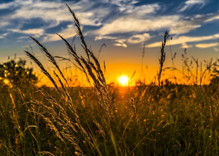 Imagine cu rol ilustrativ - Foto: Pixabay