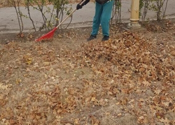 sursa foto: Primăria Constanța