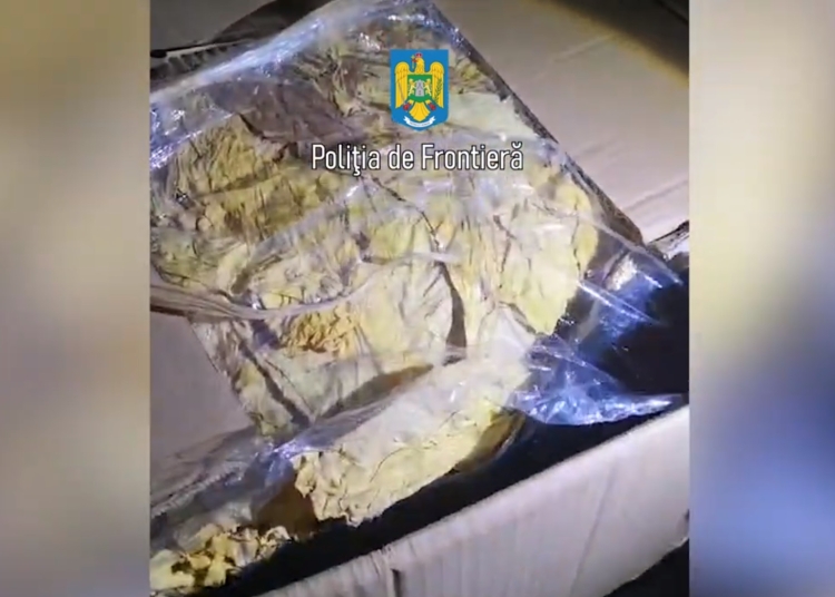 Captură video