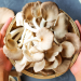 FOTO: hellotaste.ro