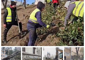 sursa foto: Primăria Constanța