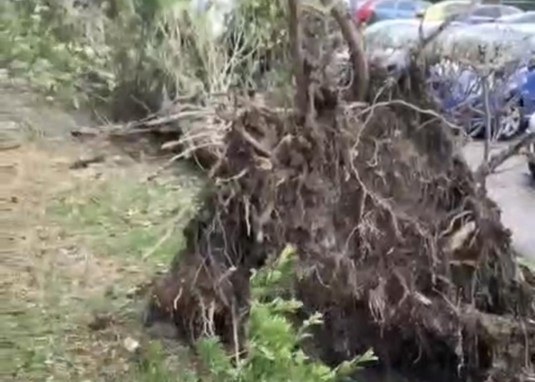 captură video