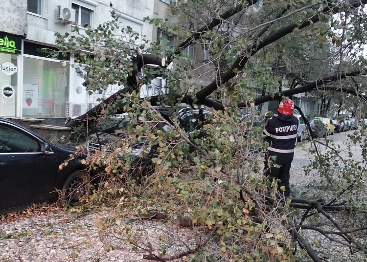 sursa foto: ISU Tulcea