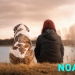 sursa foto: Facebook/ Partidul NOA - Natură, Oameni, Animale