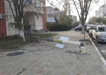 Un stâlp de electricitate a fost doborât de un copac căzut la Năvodari. FOTO: Alexandra VASILE