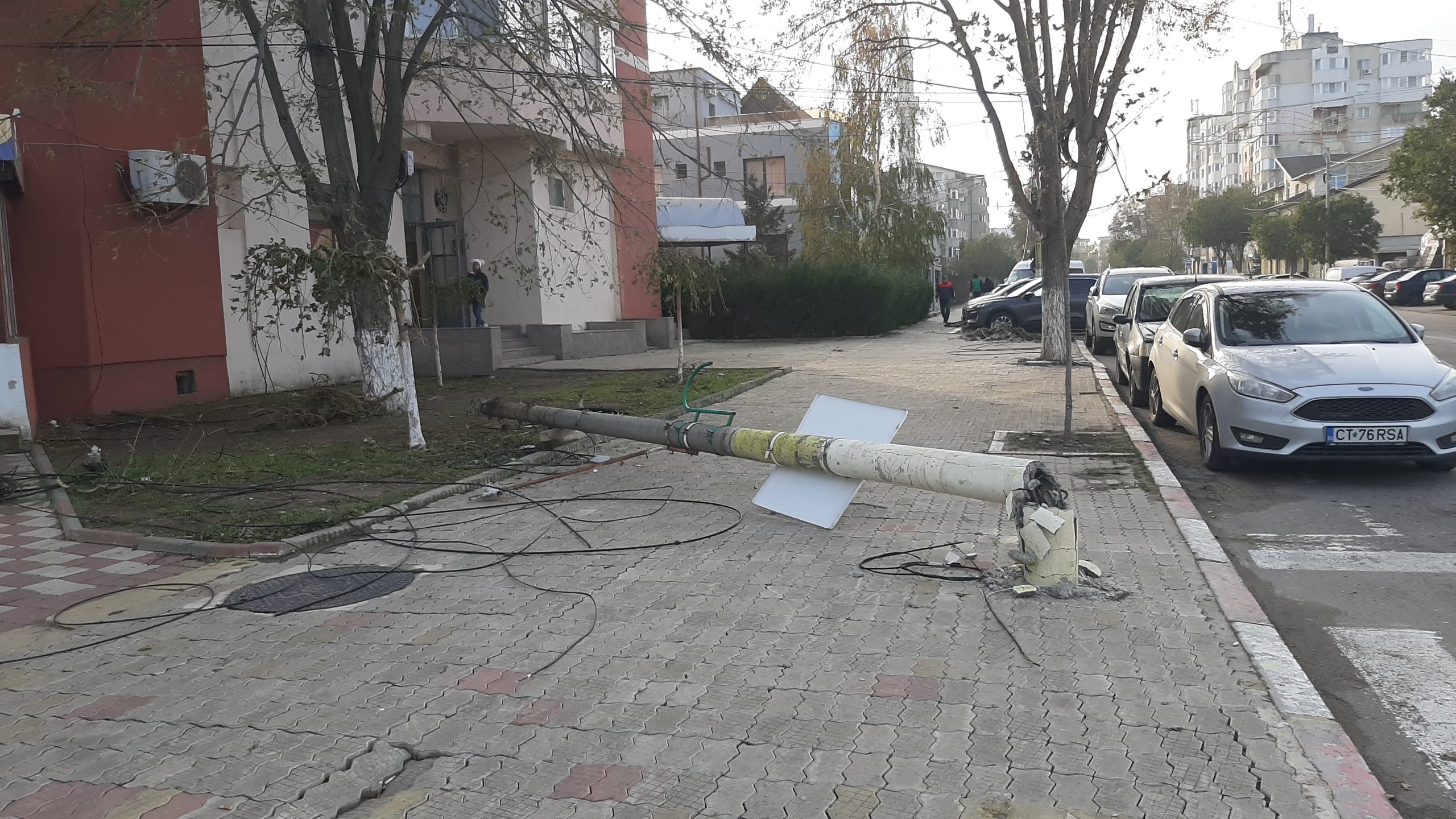 Un stâlp de electricitate a fost doborât de un copac căzut la Năvodari. FOTO: Alexandra VASILE