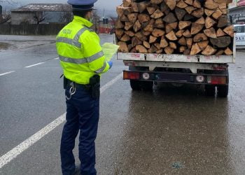 Imagine cu rol ilustrativ