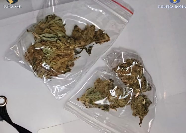 foto cu rol ilustrativ