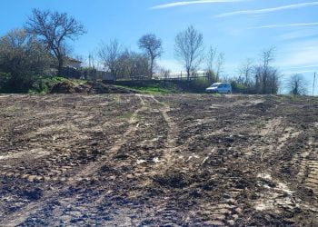 GALERIE FOTO. După ce a fost amendată, Primăria Seimeni a început să adune gunoaiele de pe malurile Dunării