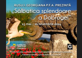 „Sălbatica splendoare a Dobrogei” – filmul documentar care va prezenta frumusețea, biodiversitatea și atracțiile naturale ale ținutului dintre Dunăre și Marea Neagră