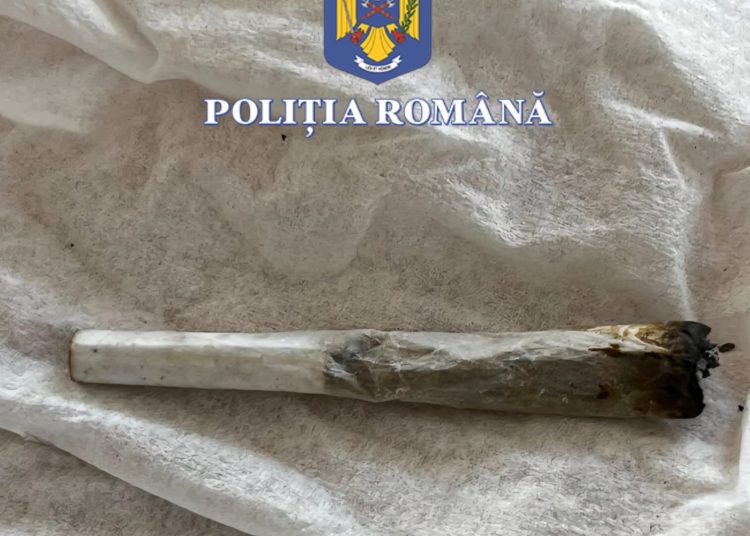 Imagine cu rol ilustrativ