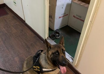 Captură de țigări realizată cu ajutorul câinelui Poliției
