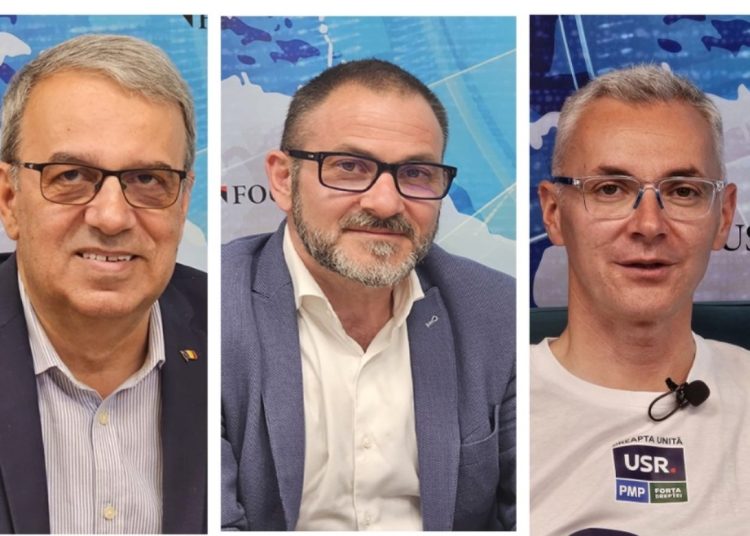 Vergil Chițac, Horia Constantinescu, Stelian Ion