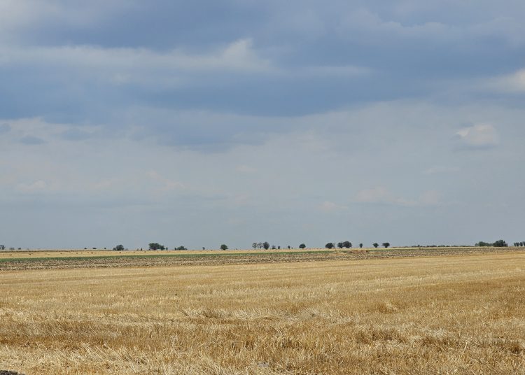 foto cu rol ilustrativ